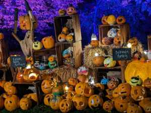 Collection of jack-o-lanterns on display at the Glasgow Botanical Gardens as part of their GlasGlow Halloween displays.